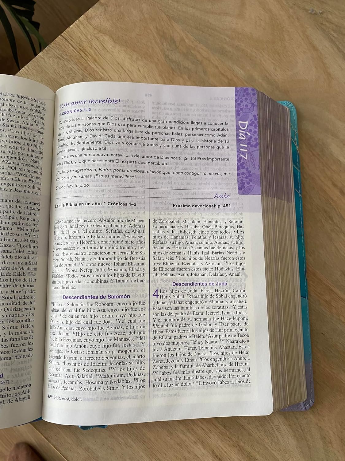 Biblia de una joven conforme al corazón de Dios-RVR60: Edición Brisa (A Young Woman After God's Own Heart Bible-RVR60-Brisa Edition (Spanish Edition) Leather