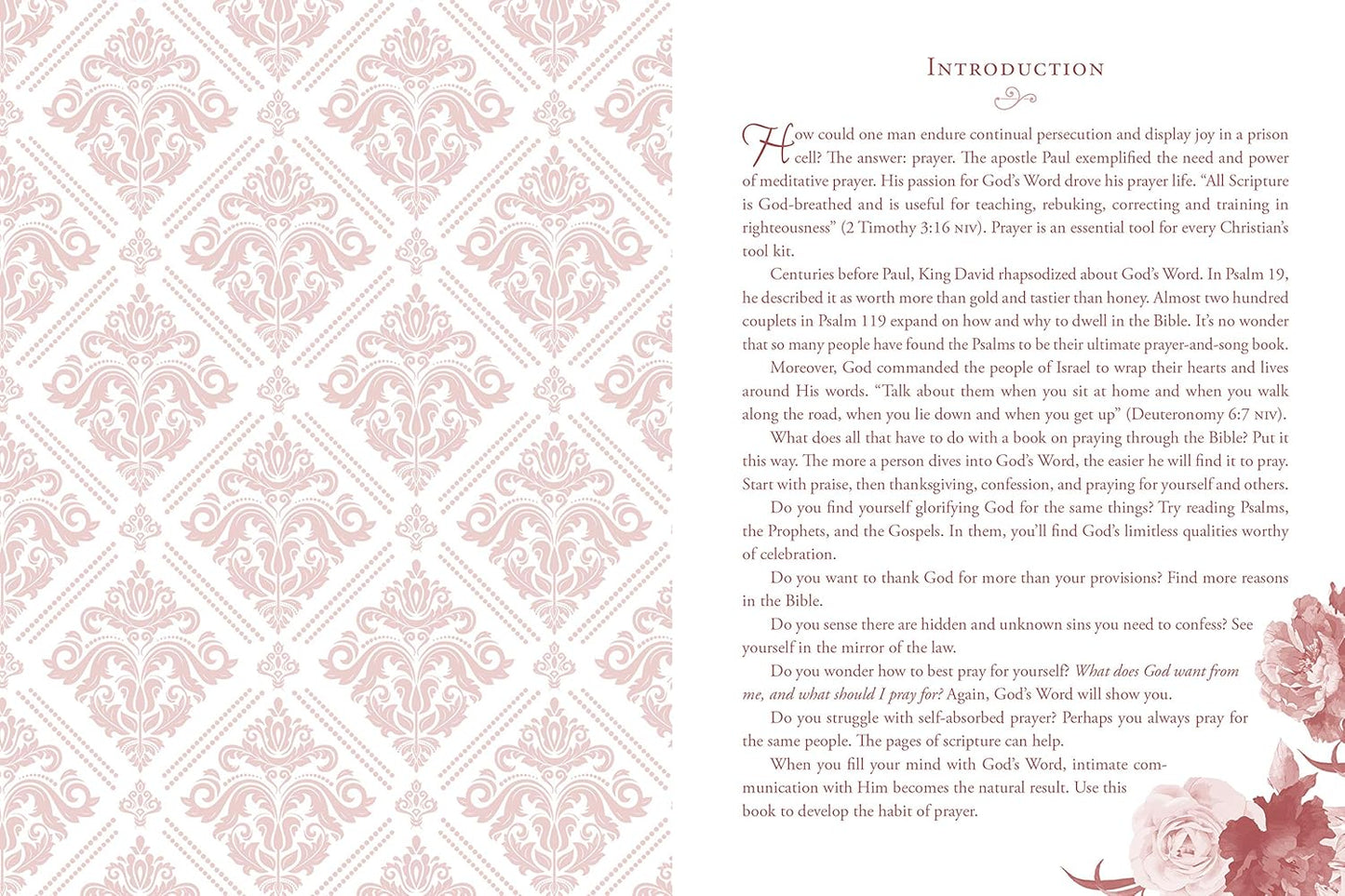 Pray through the Bible in a Year Journal