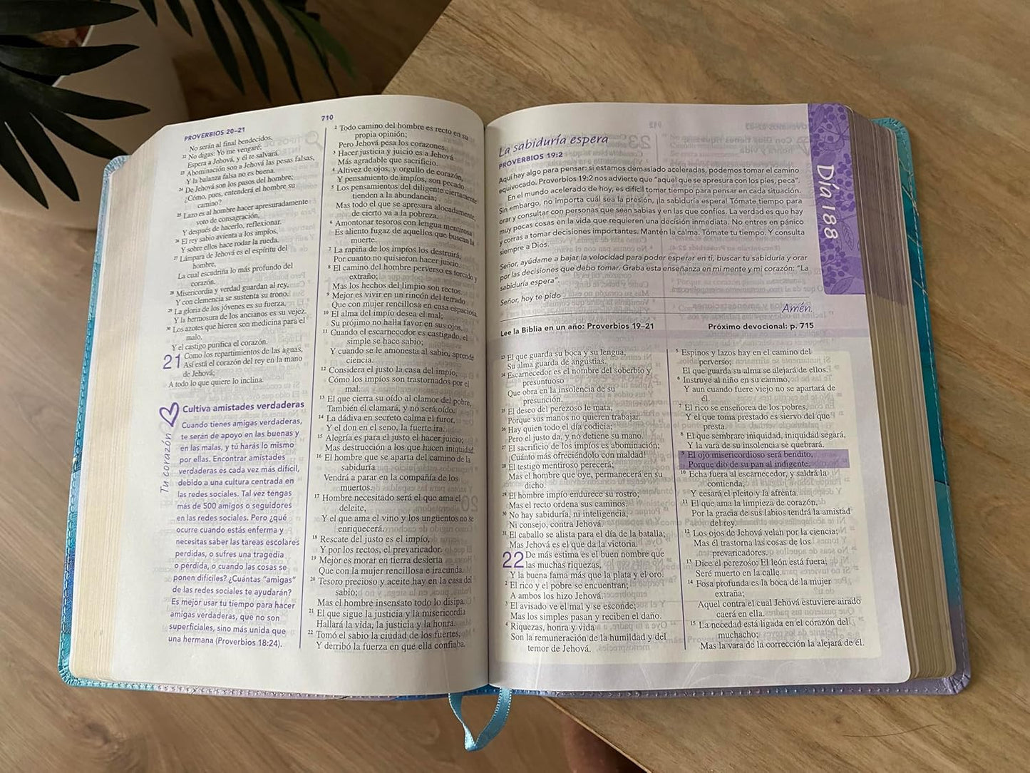 Biblia de una joven conforme al corazón de Dios-RVR60: Edición Brisa (A Young Woman After God's Own Heart Bible-RVR60-Brisa Edition (Spanish Edition) Leather