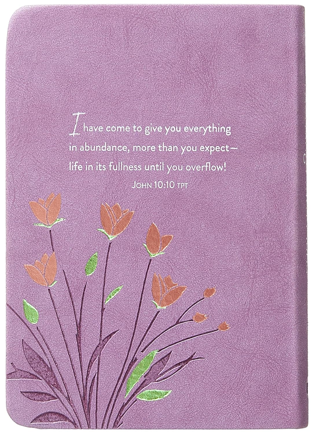 Mornings with Nana: 365 Days of Love and Encouragement – Encouragement and Wisdom for Life