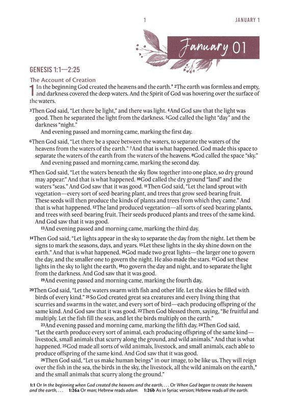 Pearlized Gray Floral Faux Leather NLT Everyday Devotional Bible for Women