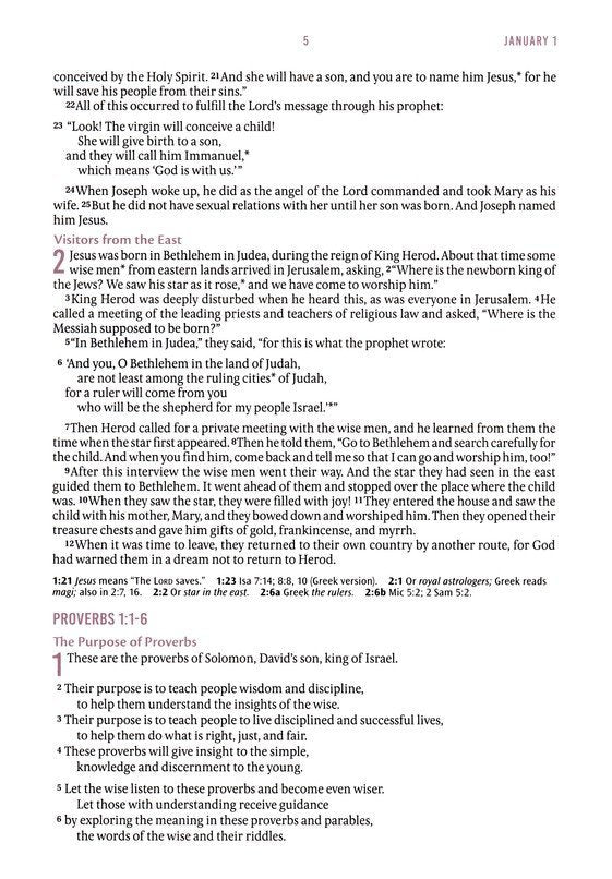 Pearlized Gray Floral Faux Leather NLT Everyday Devotional Bible for Women