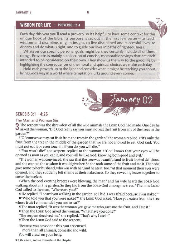 Pearlized Gray Floral Faux Leather NLT Everyday Devotional Bible for Women