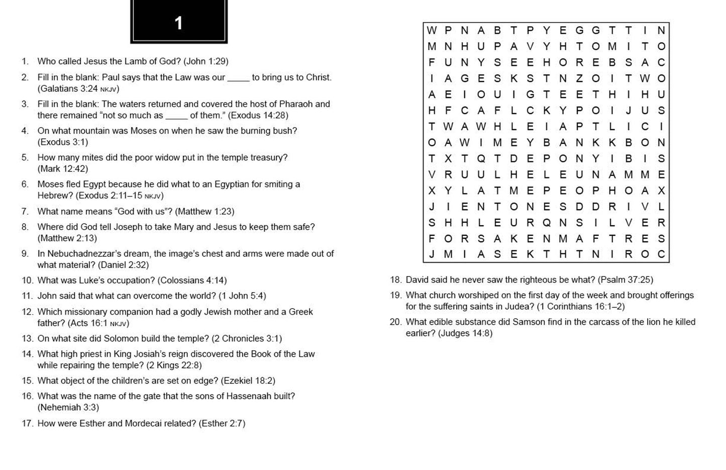 BIBLE TRIVIA WORD SEARCHES LARGE PRINT