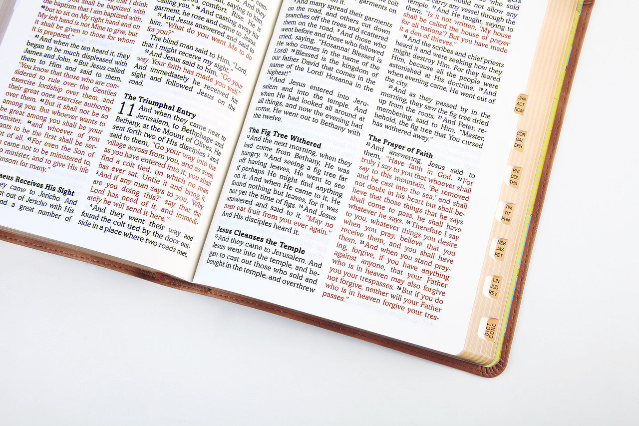 The Barbour Simplified KJV--Large Print [Rust & Stone Cross]