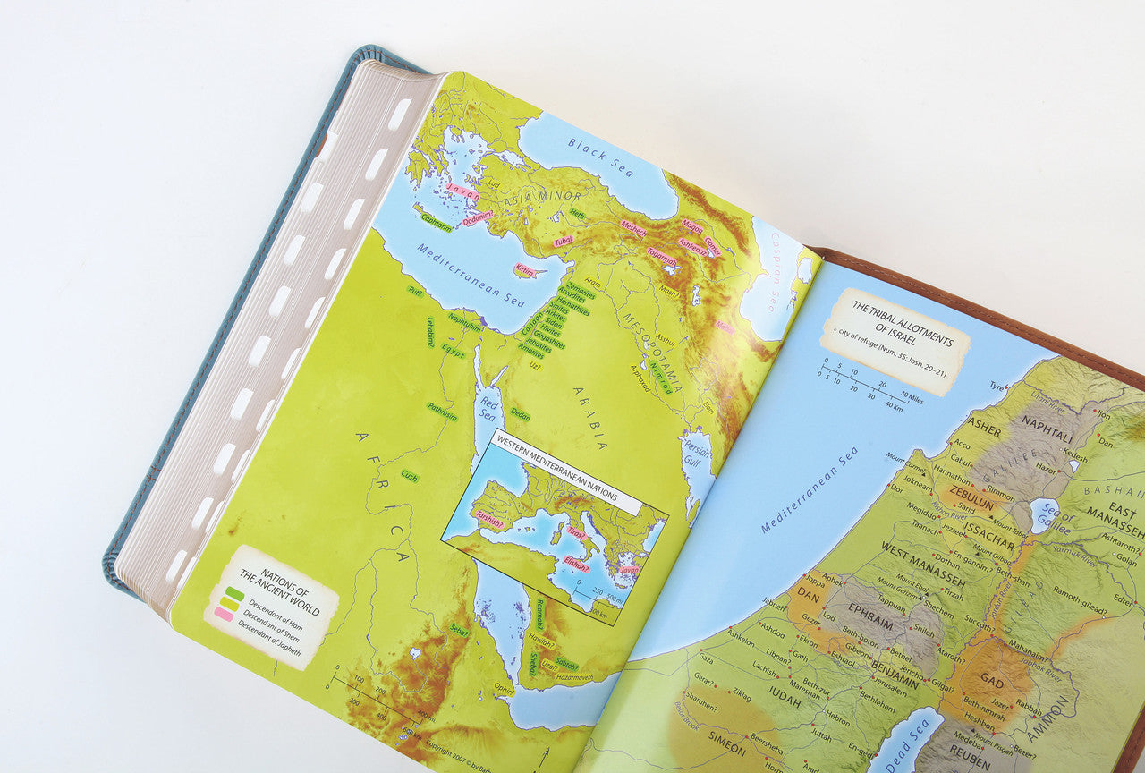 The Barbour Simplified KJV--Large Print [Rust & Stone Cross]