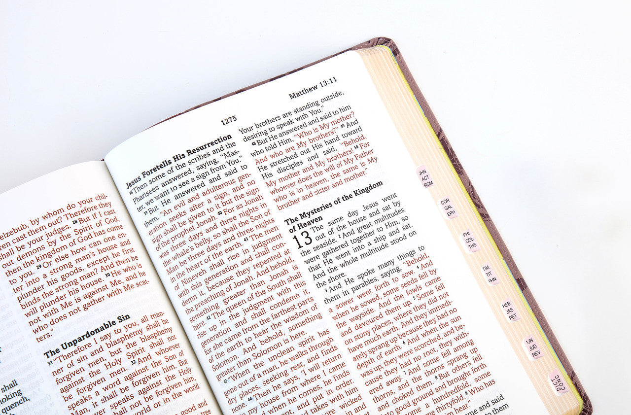 Simplified KJV--Large Print [Plum & Paisley]
