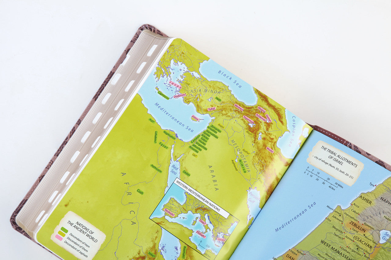Simplified KJV--Large Print [Plum & Paisley]