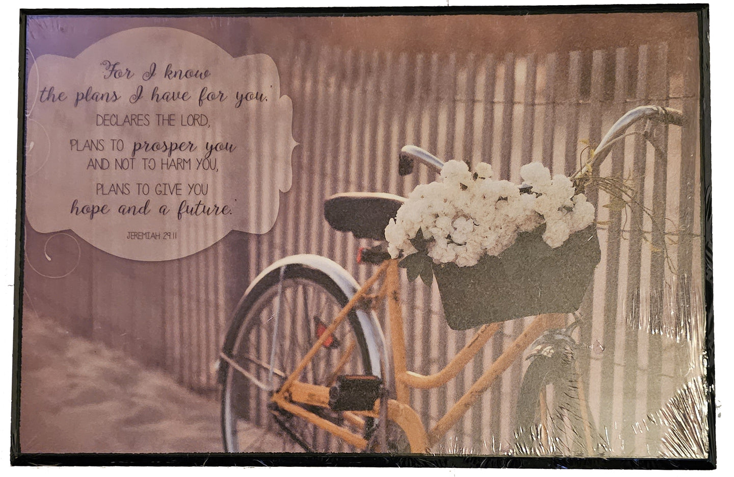 For I know the plans I have for you declares the Lord. - Wood Plaque