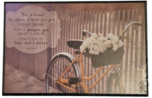 For I know the plans I have for you declares the Lord. - Wood Plaque