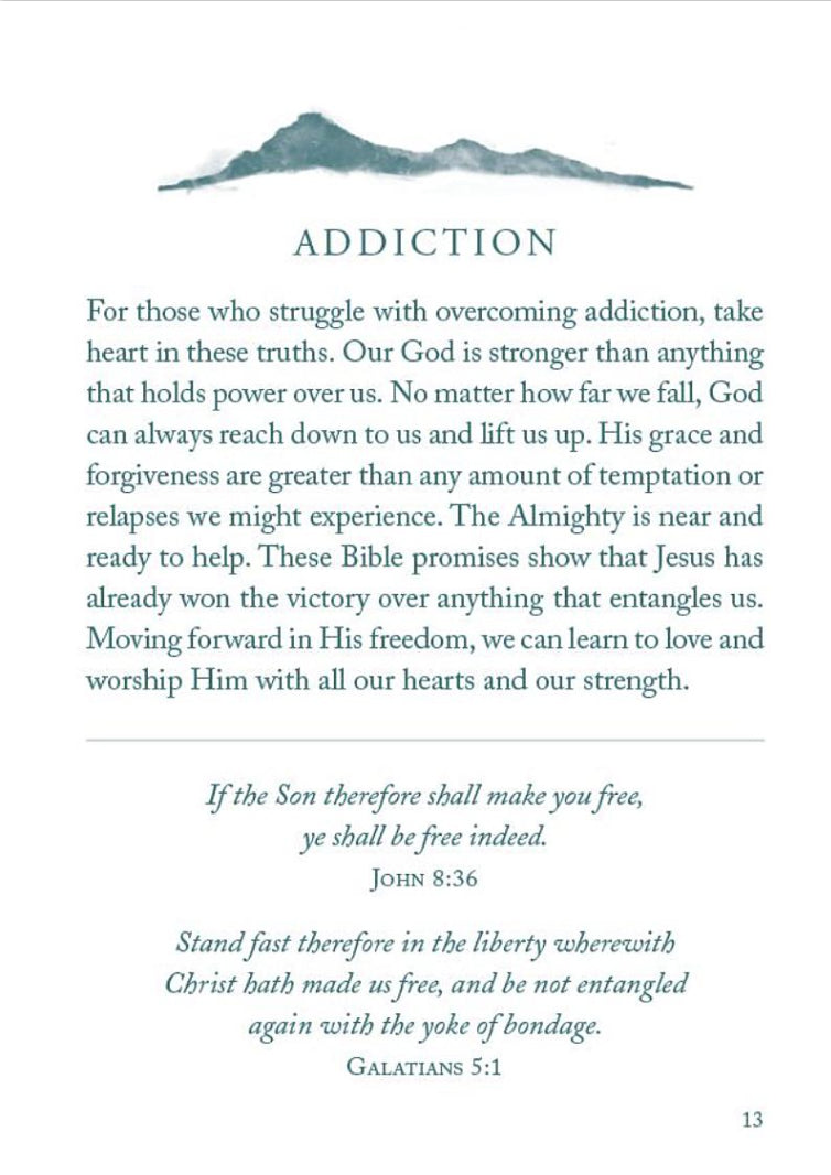 The Bible Promise Book for Hope and Healing Paperback Compiled by Barbour Staff