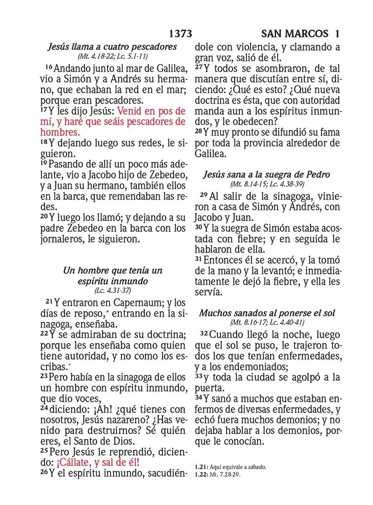 BIBLIA RVR 1960 LETRA SUPER GIGANTE SIMIL PIEL LAVANDA (Spanish)