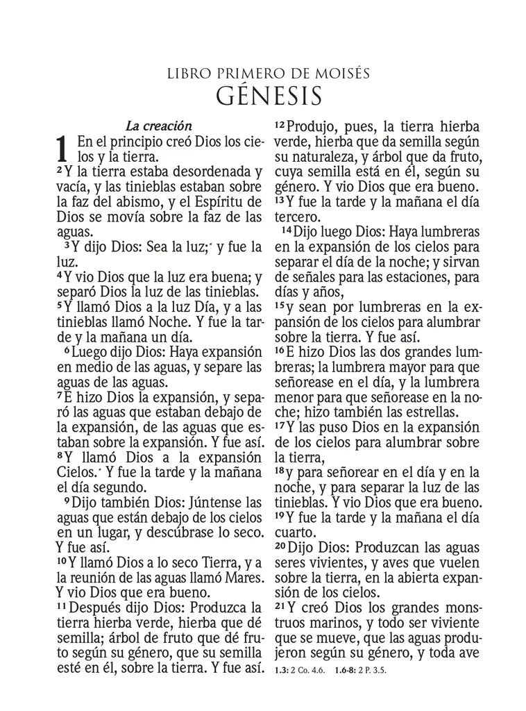 BIBLIA RVR 1960 LETRA SUPER GIGANTE SIMIL PIEL ROSA (Spanish)