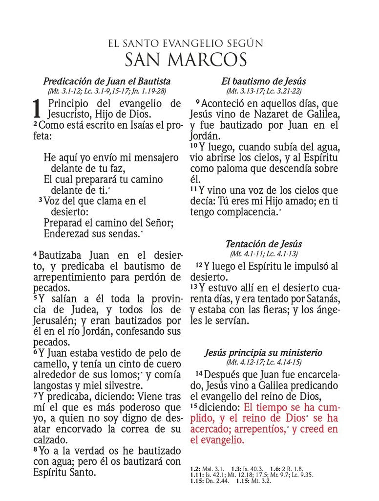 BIBLIA RVR 1960 LETRA SUPER GIGANTE SIMIL PIEL ROSA (Spanish)