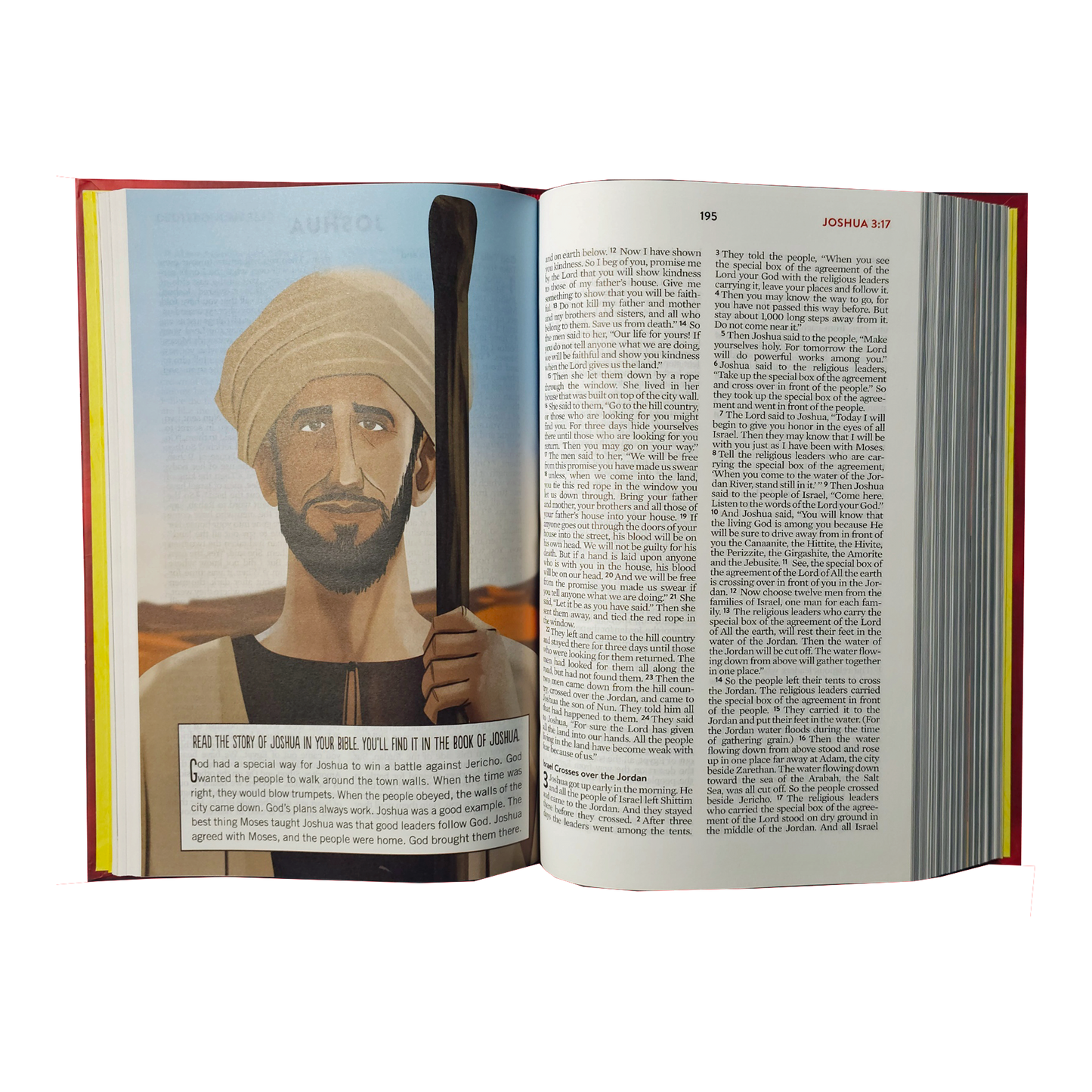 The Brave Boys Devotional Bible: New Life Version Hardcover