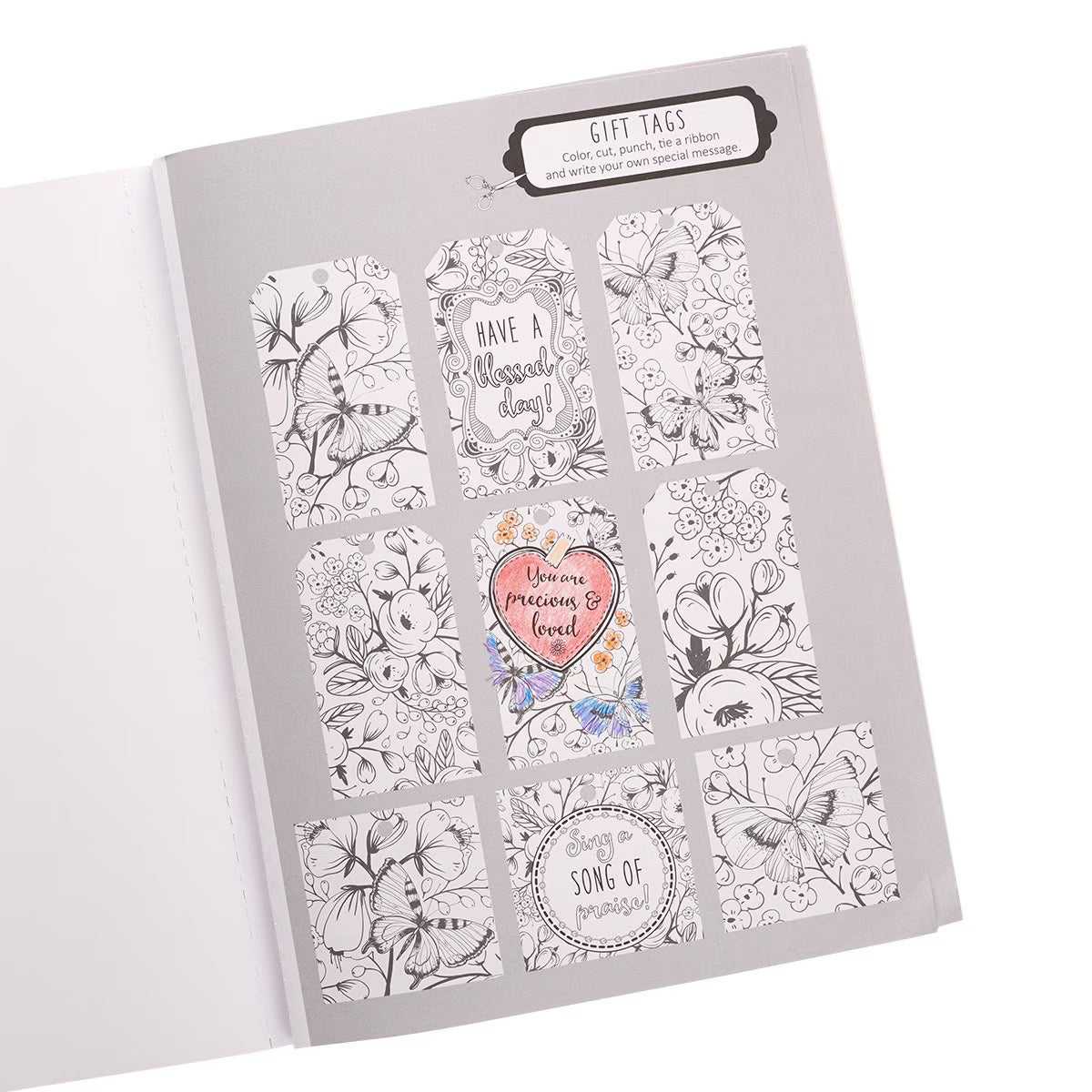 The Psalms in Color Coloring Book