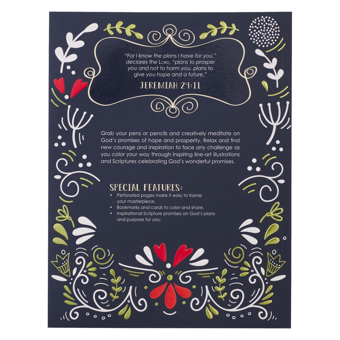 I Know the Plans I Have for You Coloring Book for Adults - Jeremiah 29:11 - Coloring Book