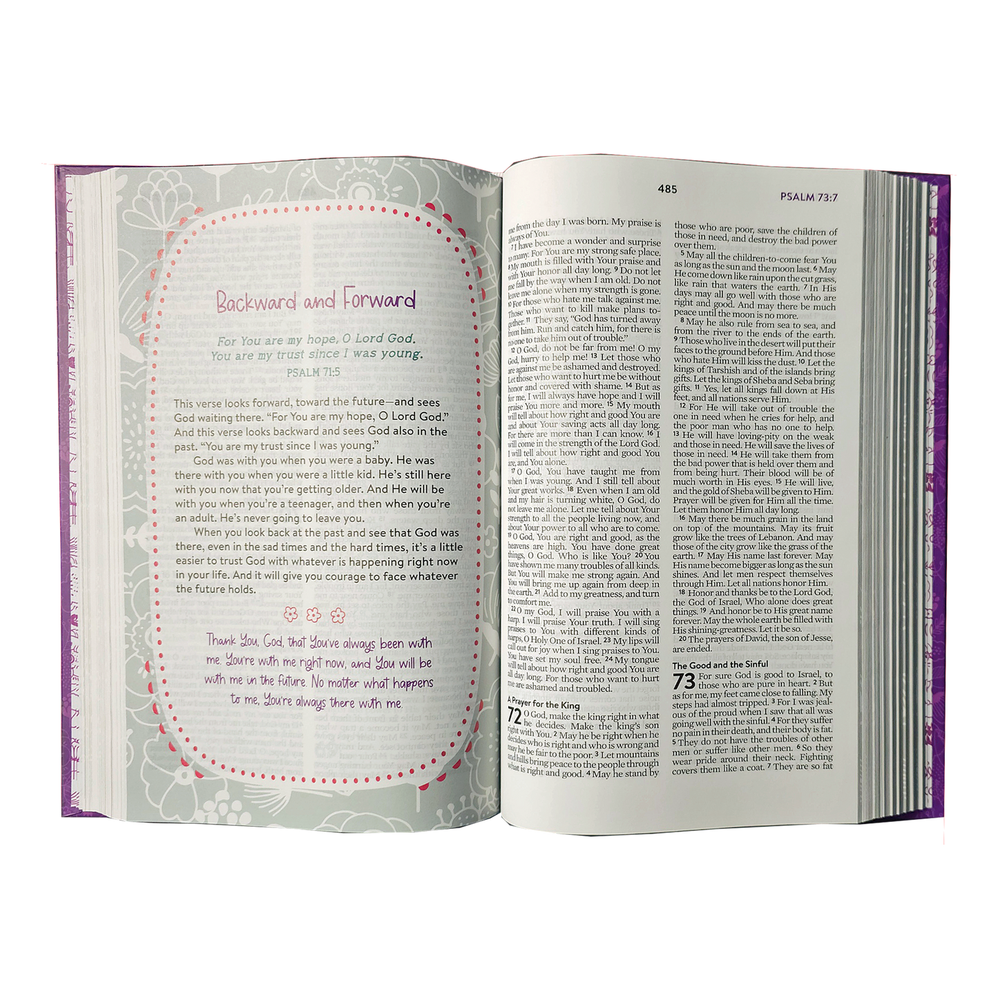 The Courageous Girls Devotional Bible: New Life Version Hardcover