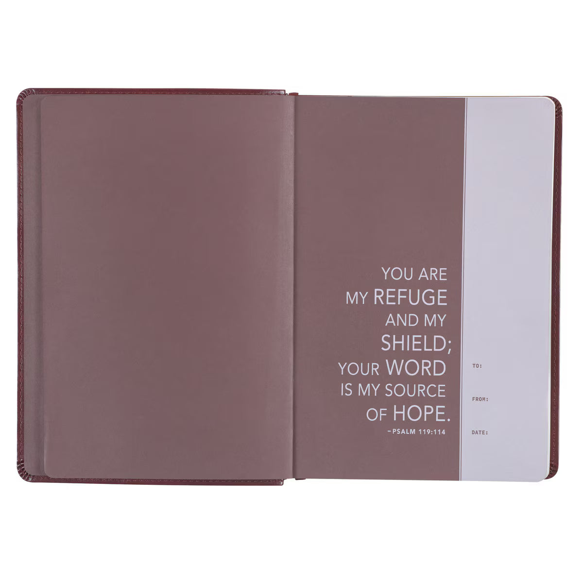 Saddle Tan Faux Leather NLT Everyday Devotional Bible for Men
