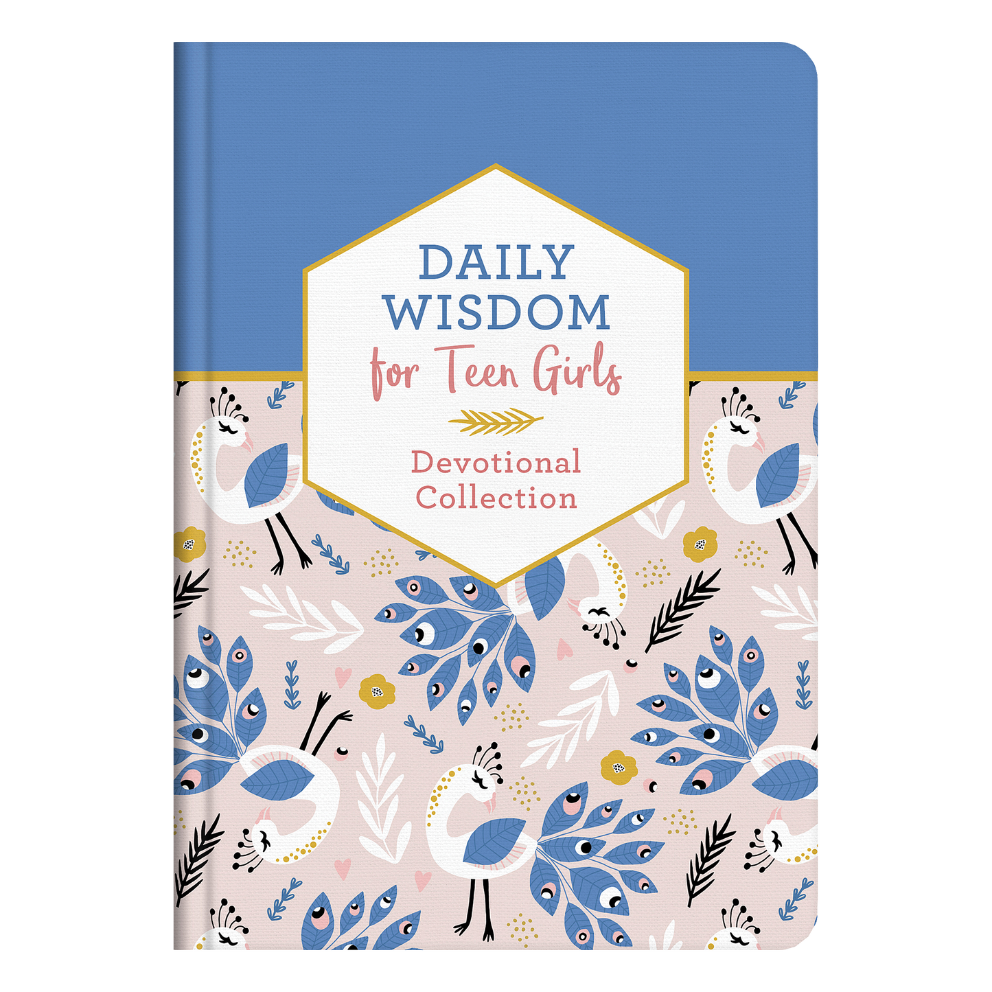 Daily Wisdom for Teen Girls