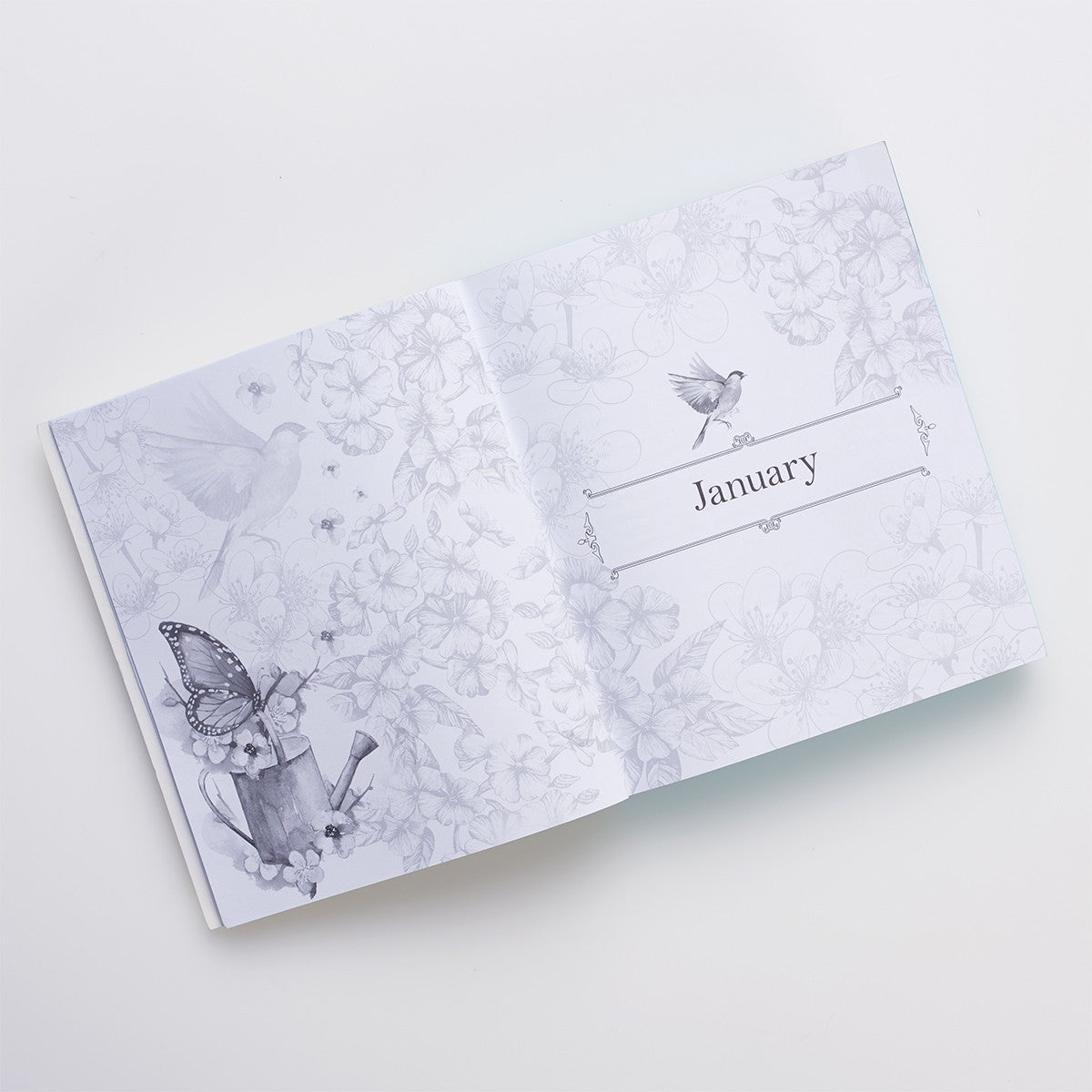 The illustrated Words of Jesus for Women Devotional BY CAROLYN LARSEN