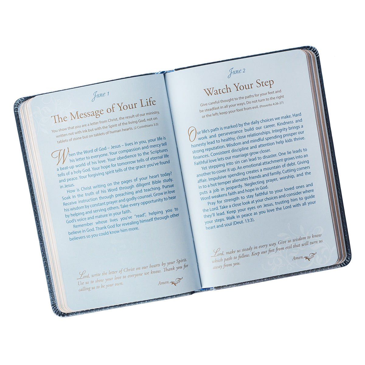 Mr. & Mrs. 366 Devotions for Couples Blue Faux Leather Devotional By Rob & Joanna Teigen General Gift Book