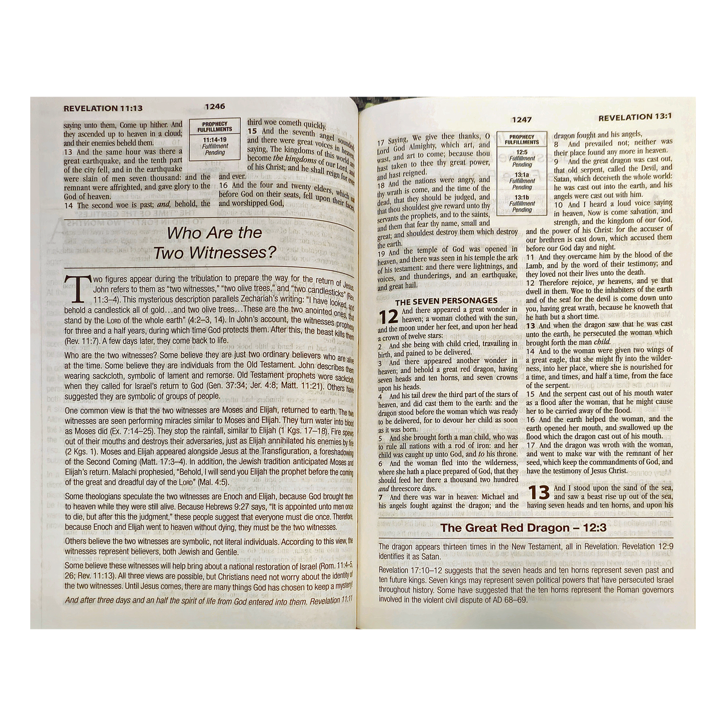 God Keeps His Promises KJV Study Bible [Sage Floral] Hardcover