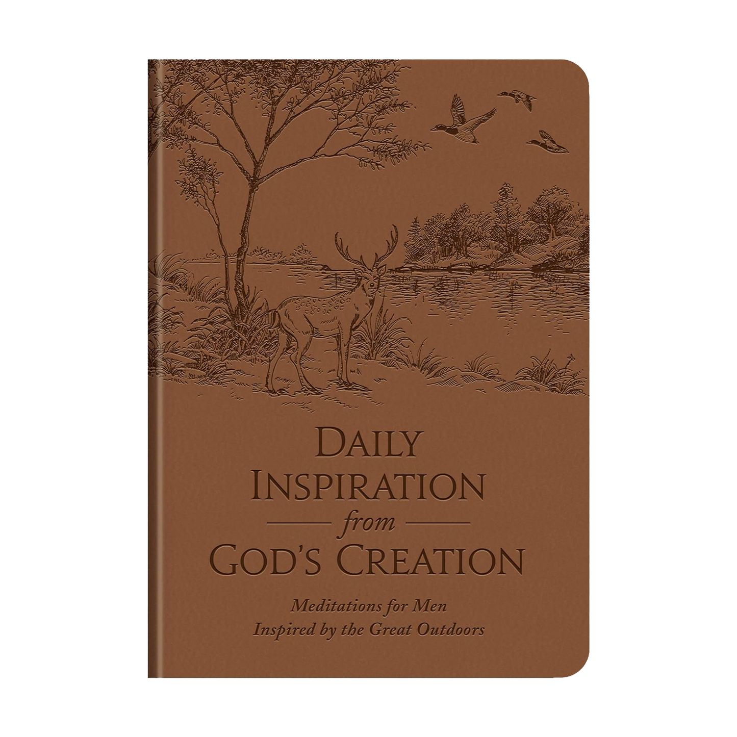Daily Inspiration from God's Creation: Meditations for Men Inspired by the Great Outdoors Imitation Leather Compiled by Barbour Staff