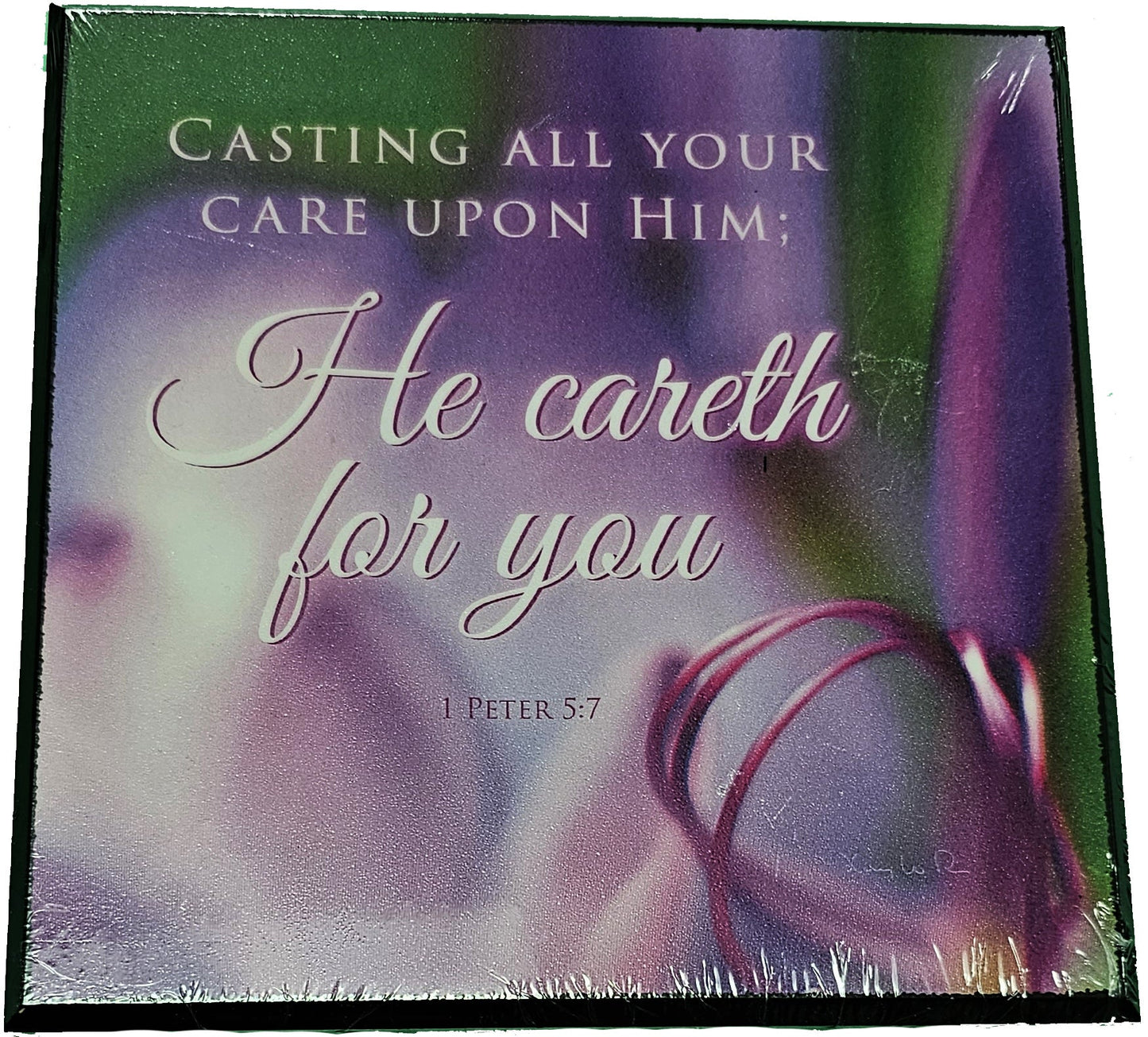 Casting all your care upon Him; He Careth for you - Wood Plaque