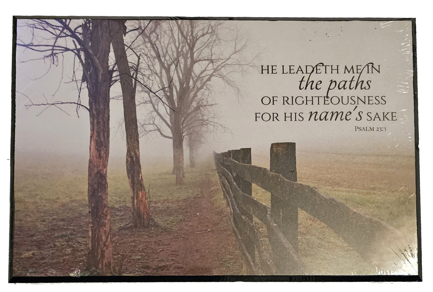 He leadeth me in the paths of righteousness - Wood Plaque