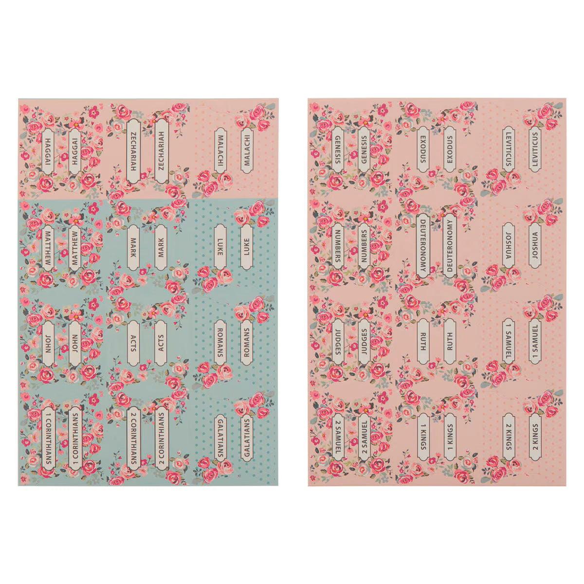Pink and Blue Old and New Testament Bible Indexing Tabs