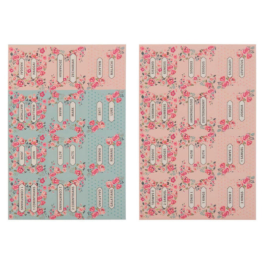 Pink and Blue Old and New Testament Bible Indexing Tabs