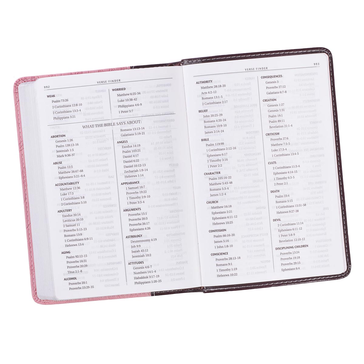 Burgundy and Pink Faux Leather Compact King James Version Bible