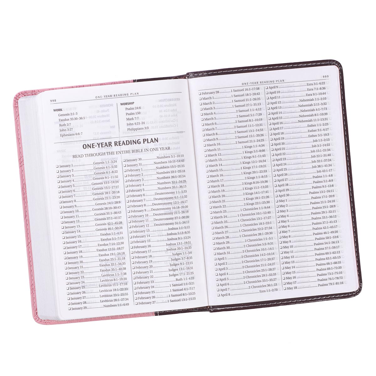 Burgundy and Pink Faux Leather Compact King James Version Bible