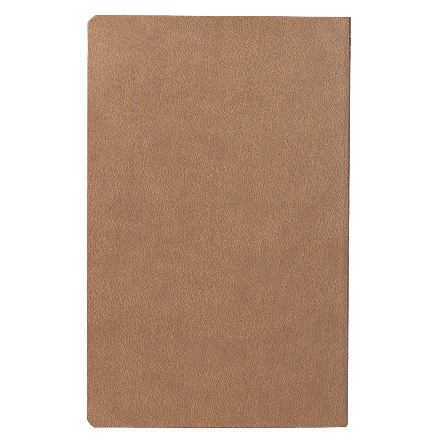 Tan Faux Leather King James Version Gift and Award Bible