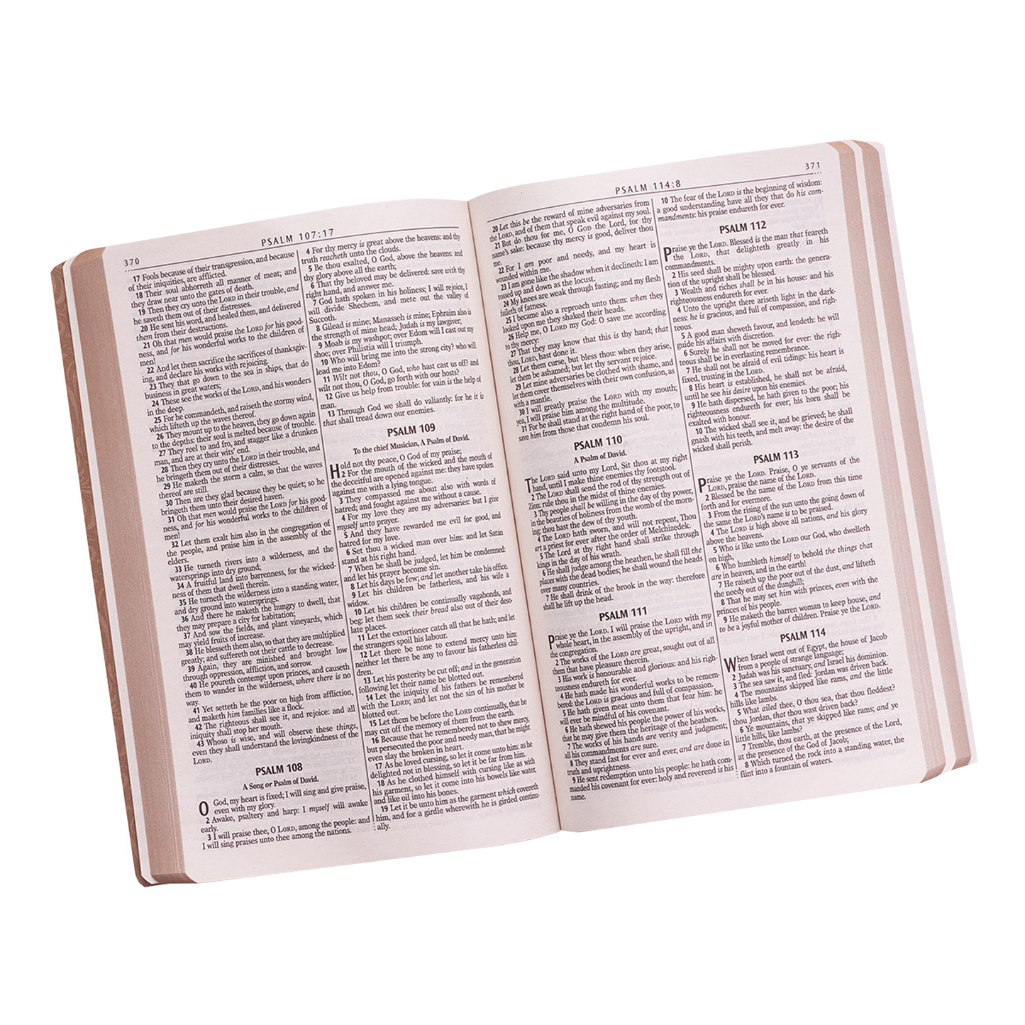 Tan Faux Leather King James Version Gift and Award Bible