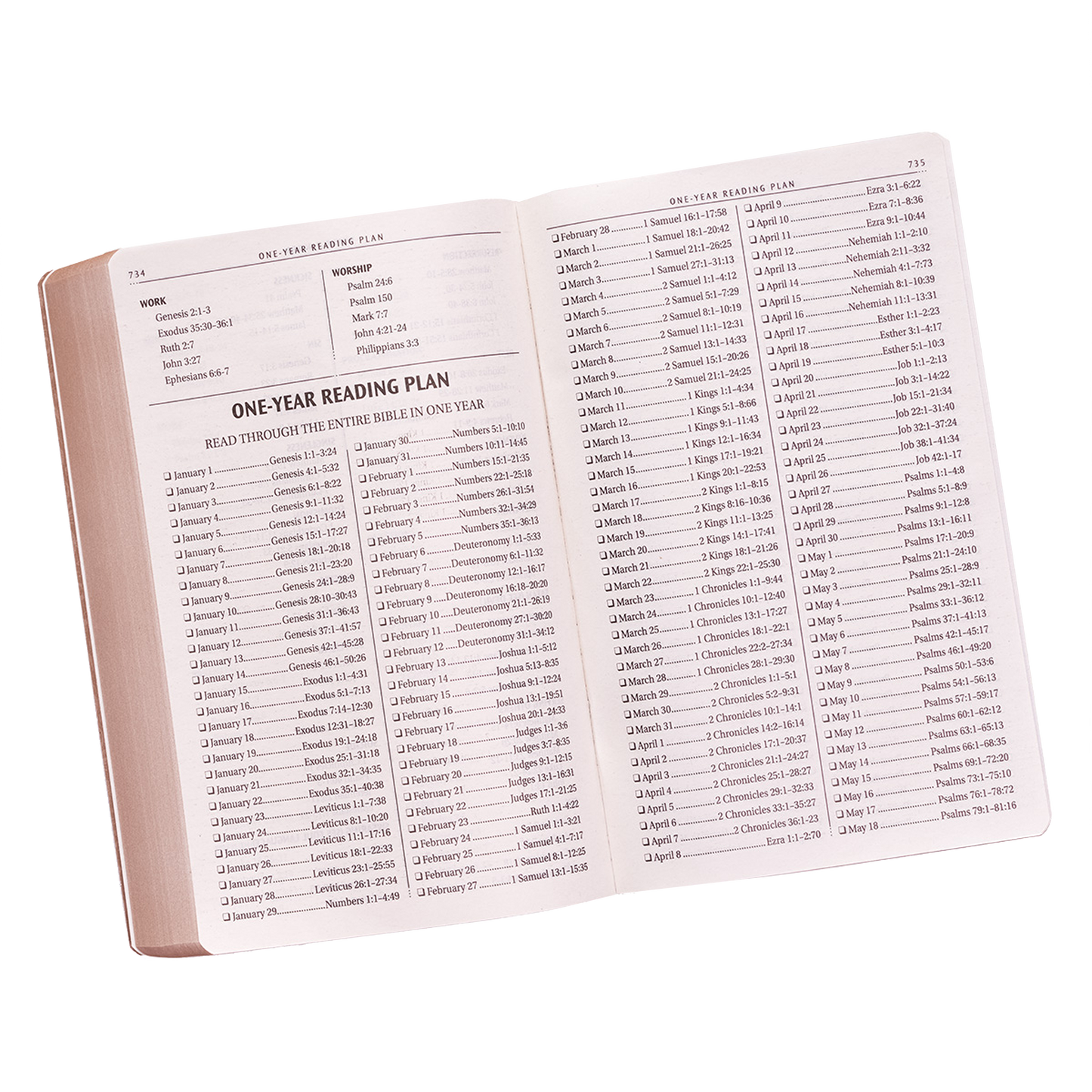 Tan Faux Leather King James Version Gift and Award Bible