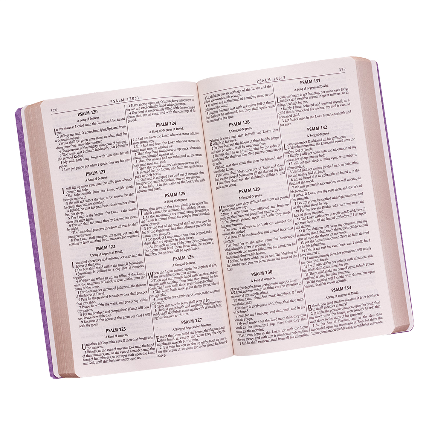 Purple Faux Leather King James Version Gift and Award Bible