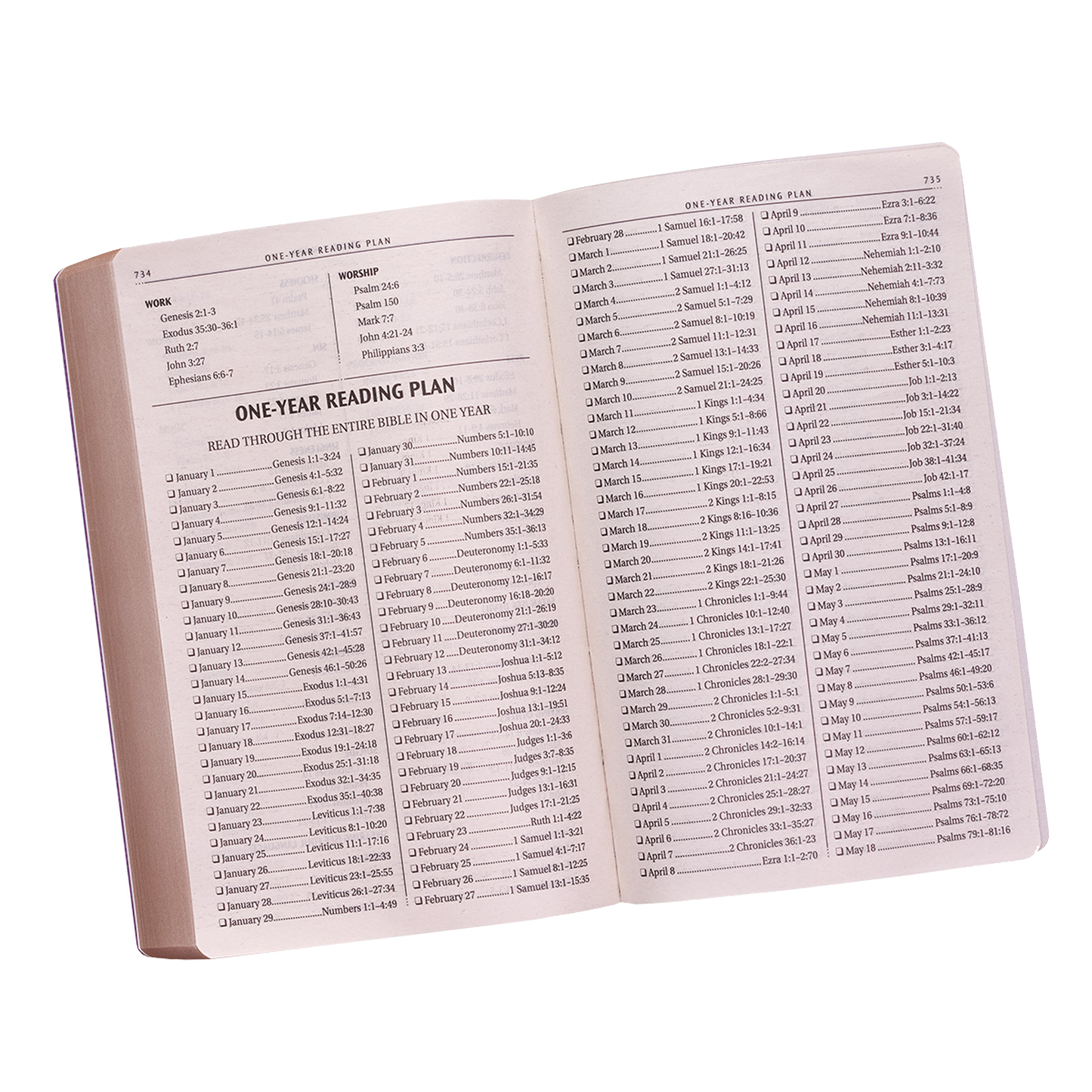 Purple Faux Leather King James Version Gift and Award Bible