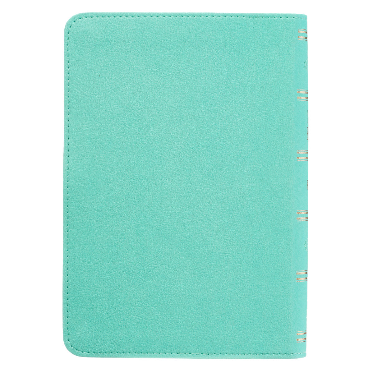 Robin’s-egg Blue Faux Leather Large Print Compact King James Version Bible