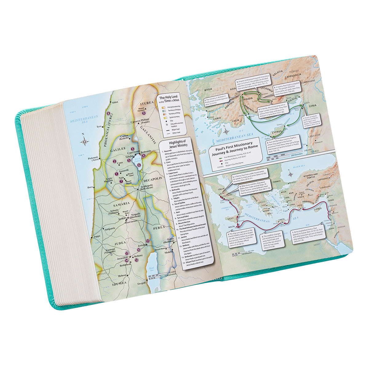 Robin’s-egg Blue Faux Leather Large Print Compact King James Version Bible