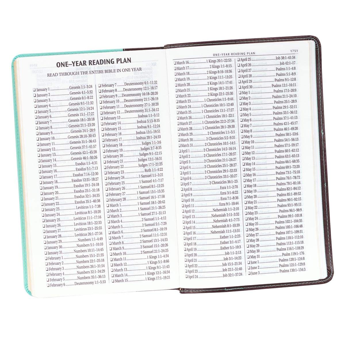 KJV Holy Bible, Giant Print Standard Size, Teal and Brown Faux Leather w/Ribbon Marker, Red Letter, King James Version