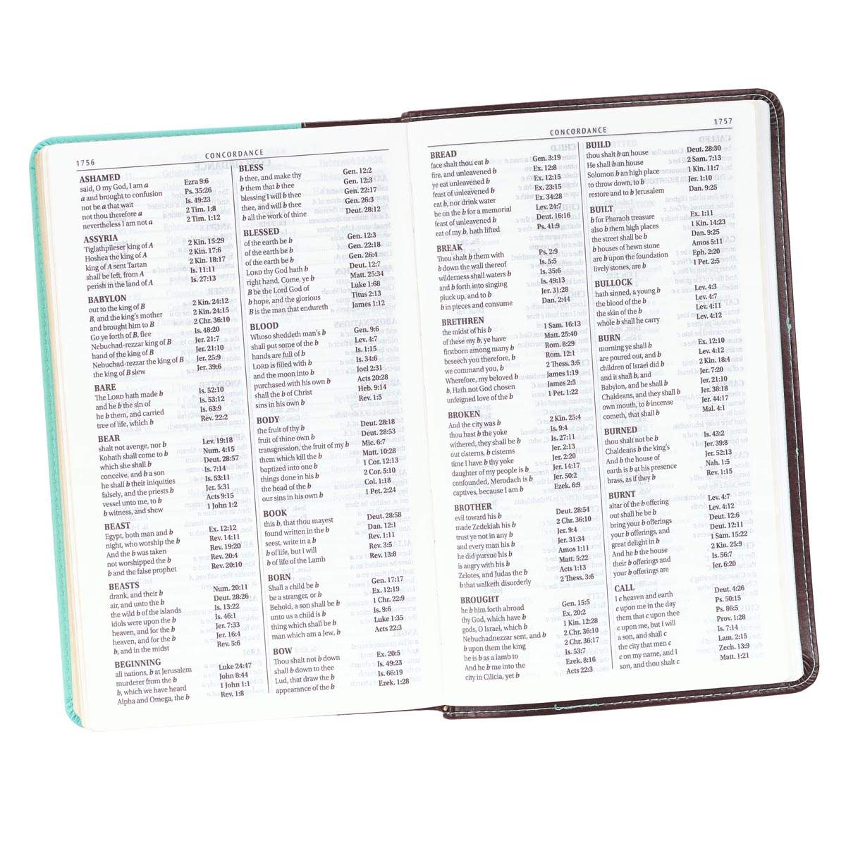 KJV Holy Bible, Giant Print Standard Size, Teal and Brown Faux Leather w/Ribbon Marker, Red Letter, King James Version