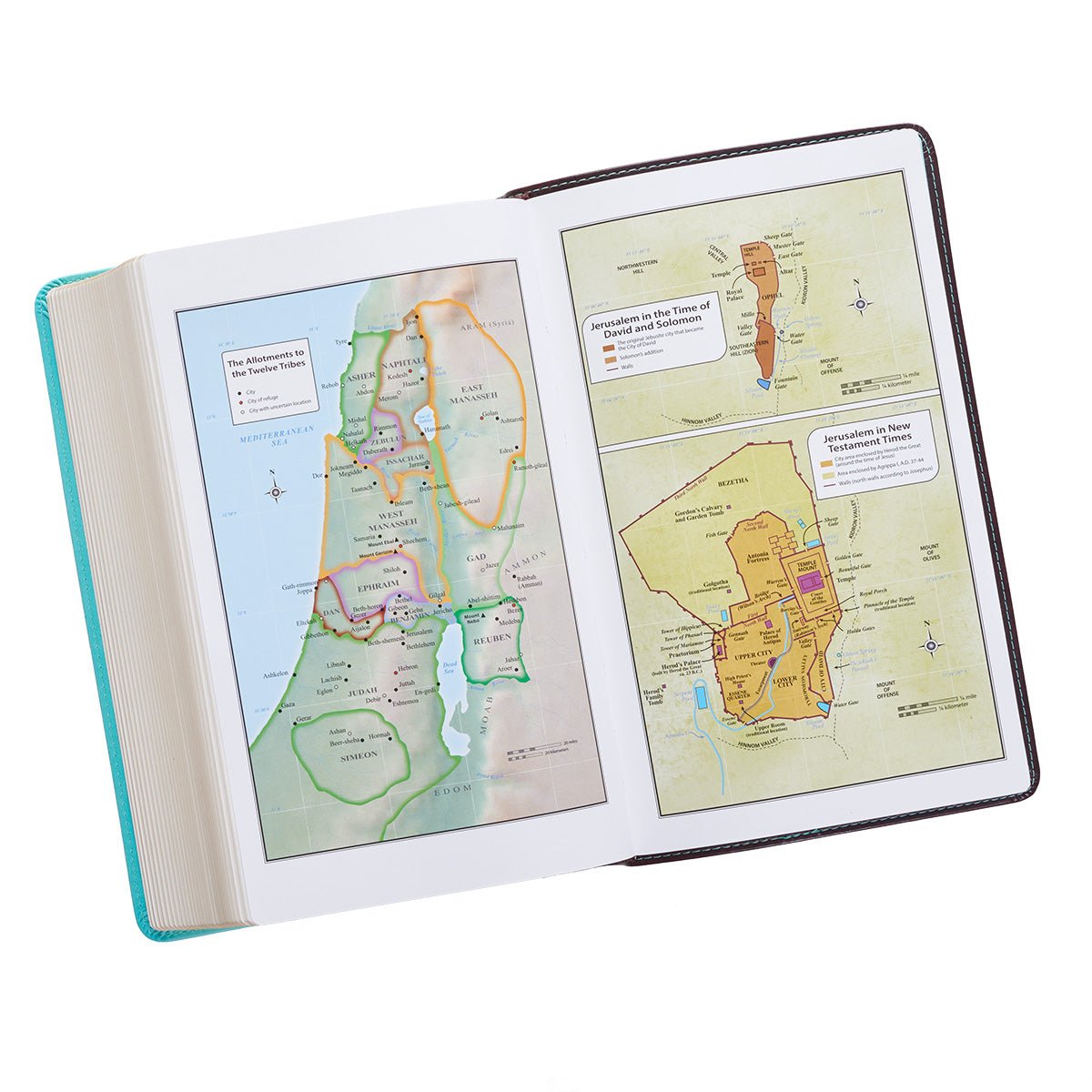 KJV Holy Bible, Giant Print Standard Size, Teal and Brown Faux Leather w/Ribbon Marker, Red Letter, King James Version