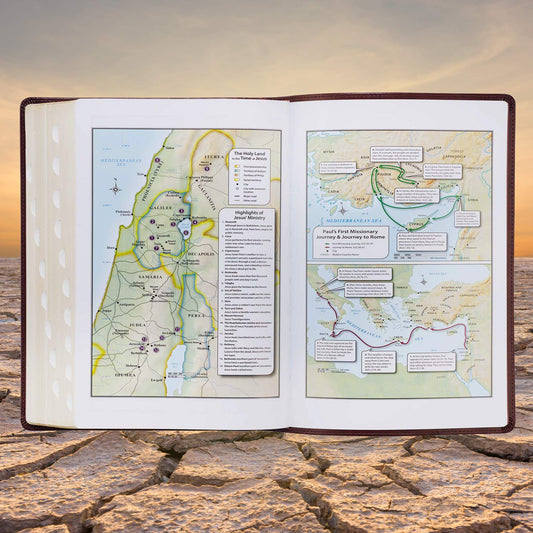 Chestnut Brown Faux Leather Super Giant Print King James Version Bible with Thumb Index