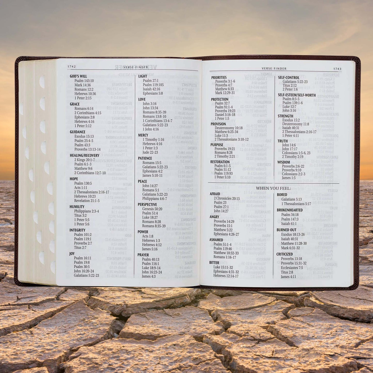 Chestnut Brown Faux Leather Super Giant Print King James Version Bible with Thumb Index