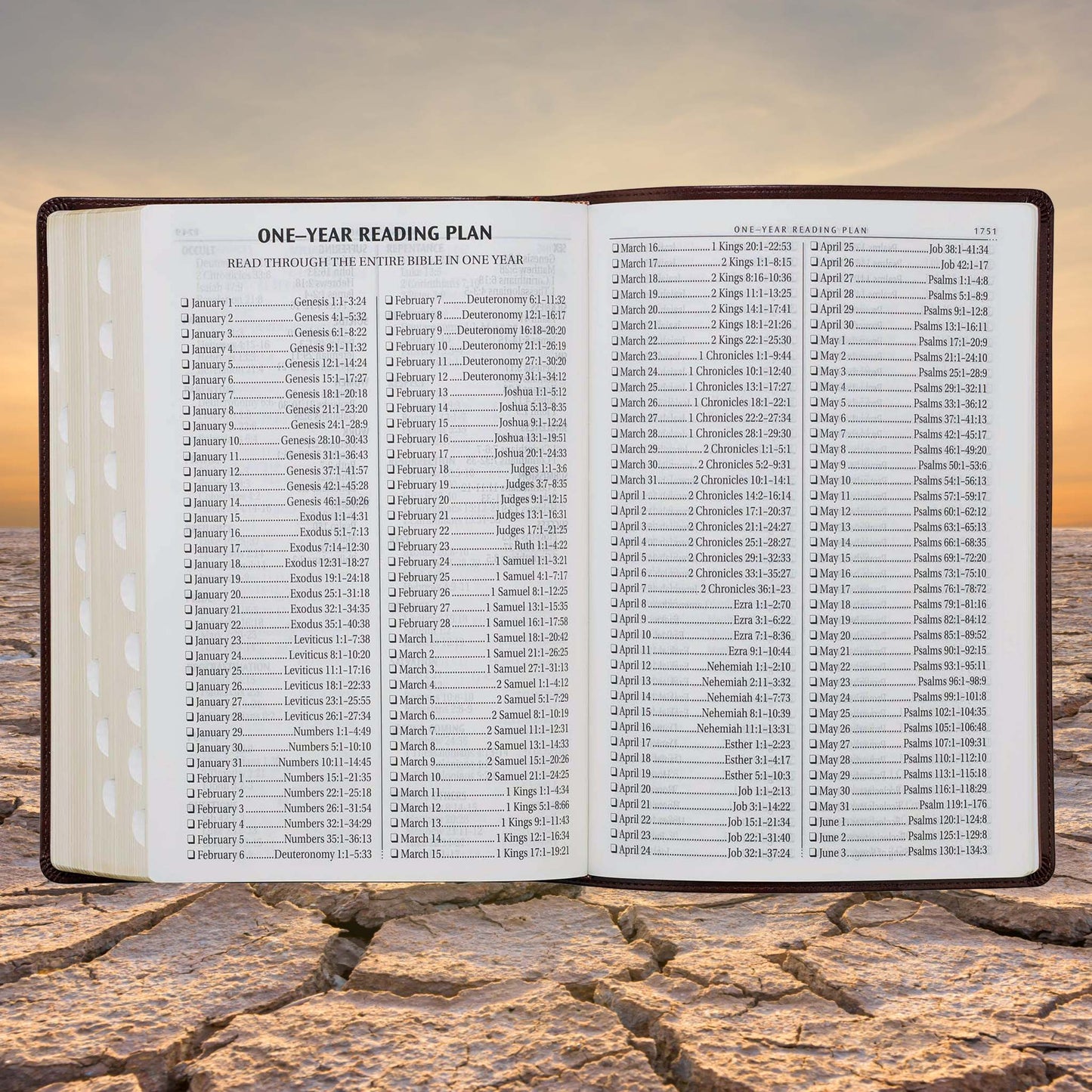 Chestnut Brown Faux Leather Super Giant Print King James Version Bible with Thumb Index
