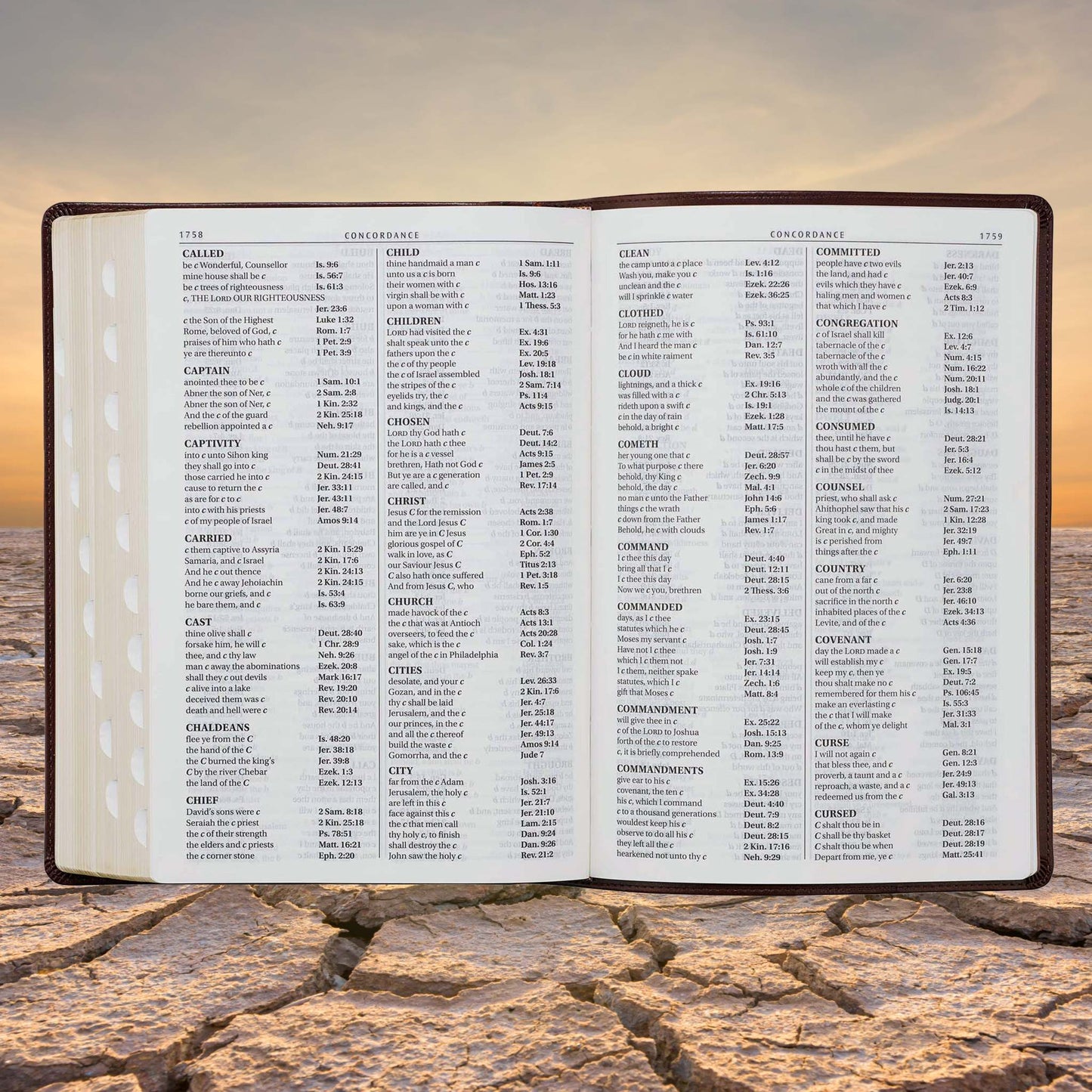 Chestnut Brown Faux Leather Super Giant Print King James Version Bible with Thumb Index