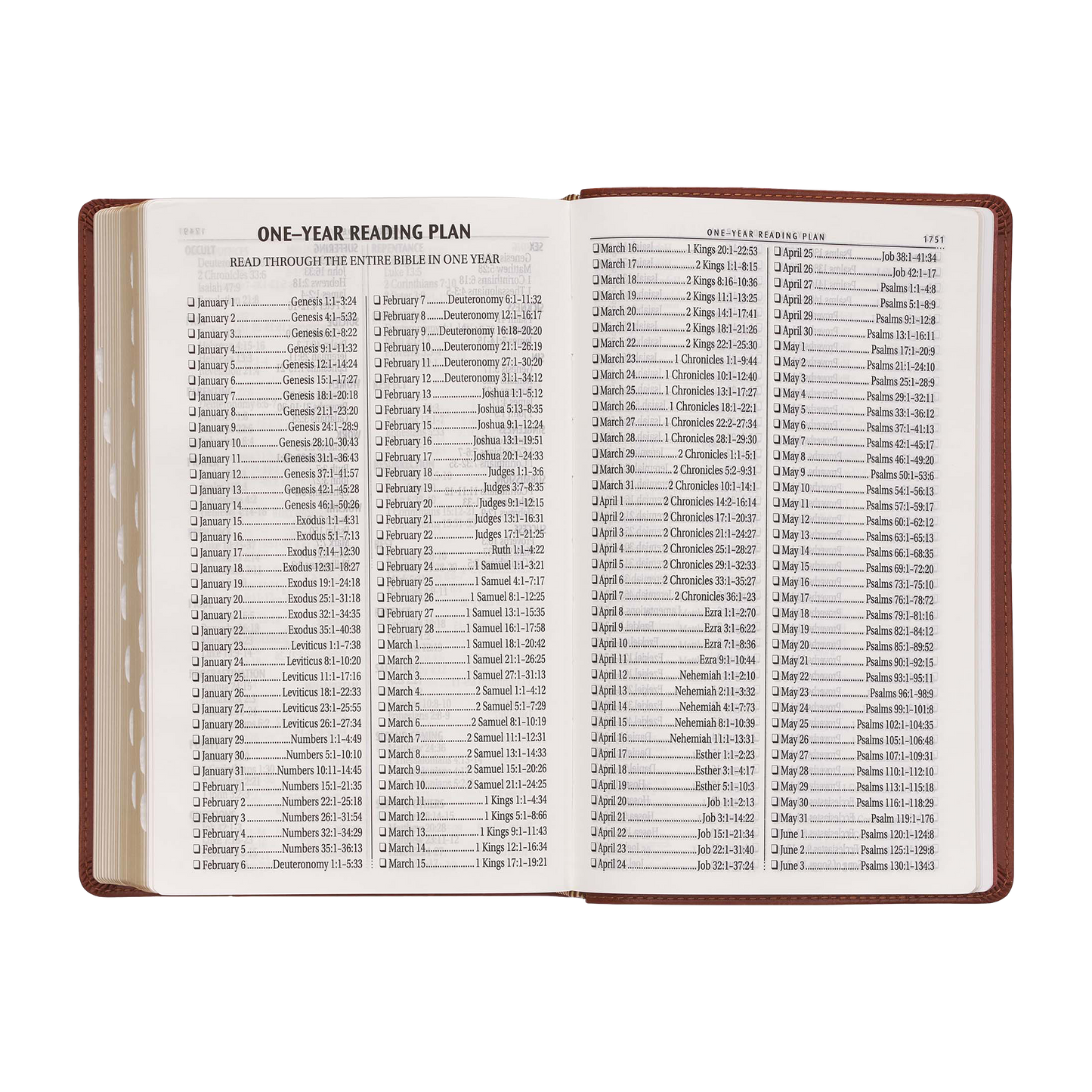 Saddle Tan Faux Leather Giant Print Standard-size King James Version Bible with Thumb Index
