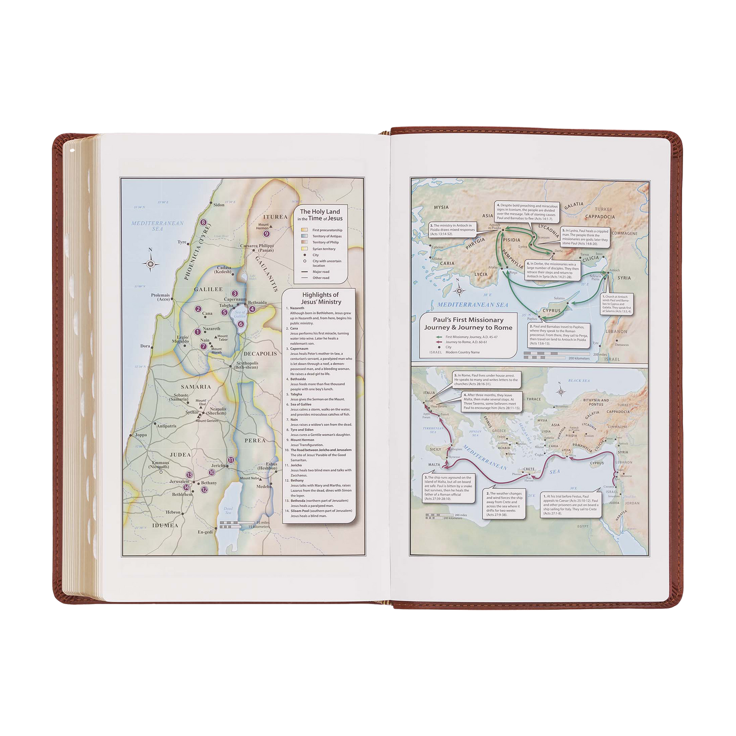 Saddle Tan Faux Leather Giant Print Standard-size King James Version Bible with Thumb Index